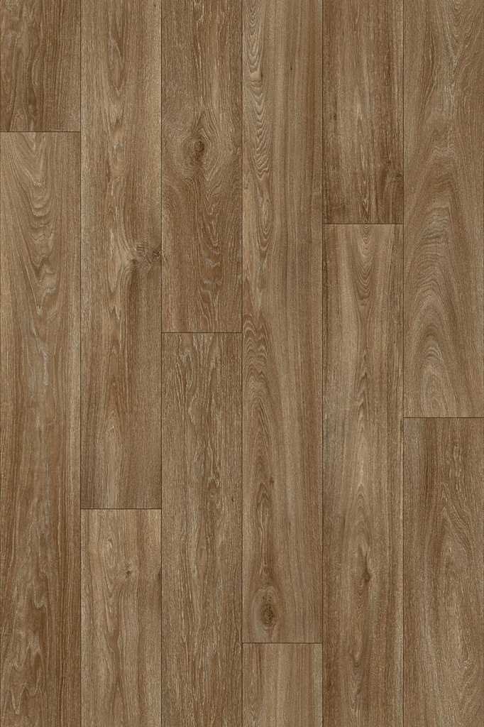 Havanna Oak