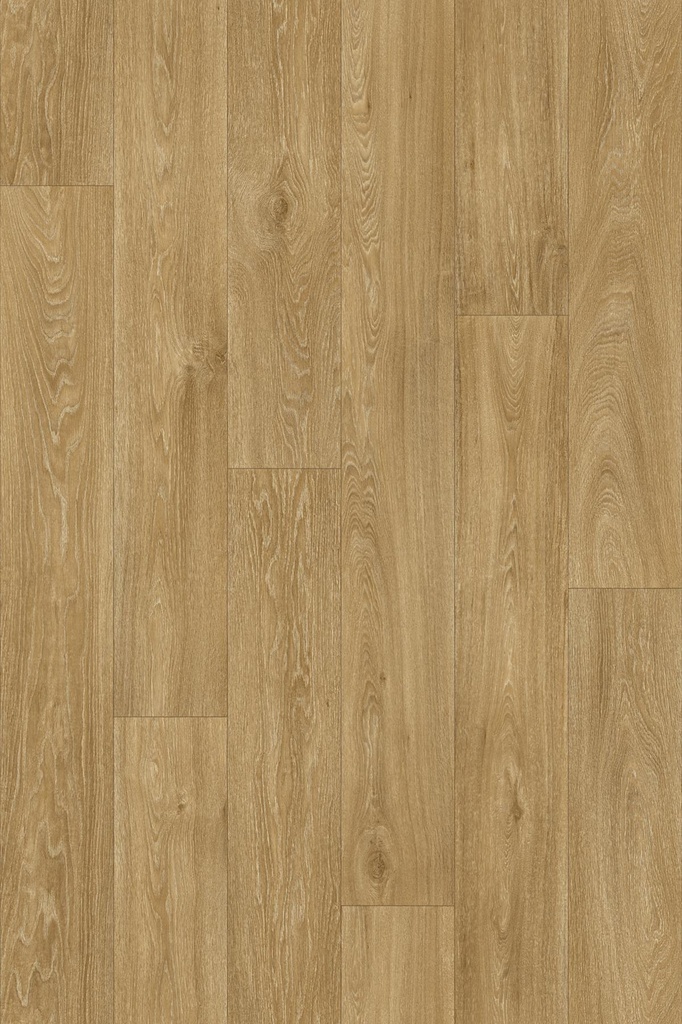 Havanna Oak
