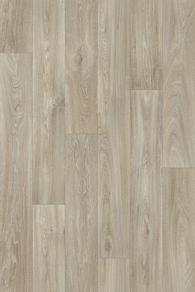 Havanna Oak