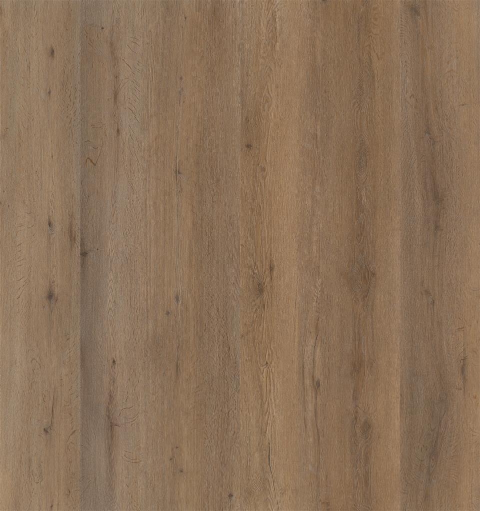 Vivero Smoky