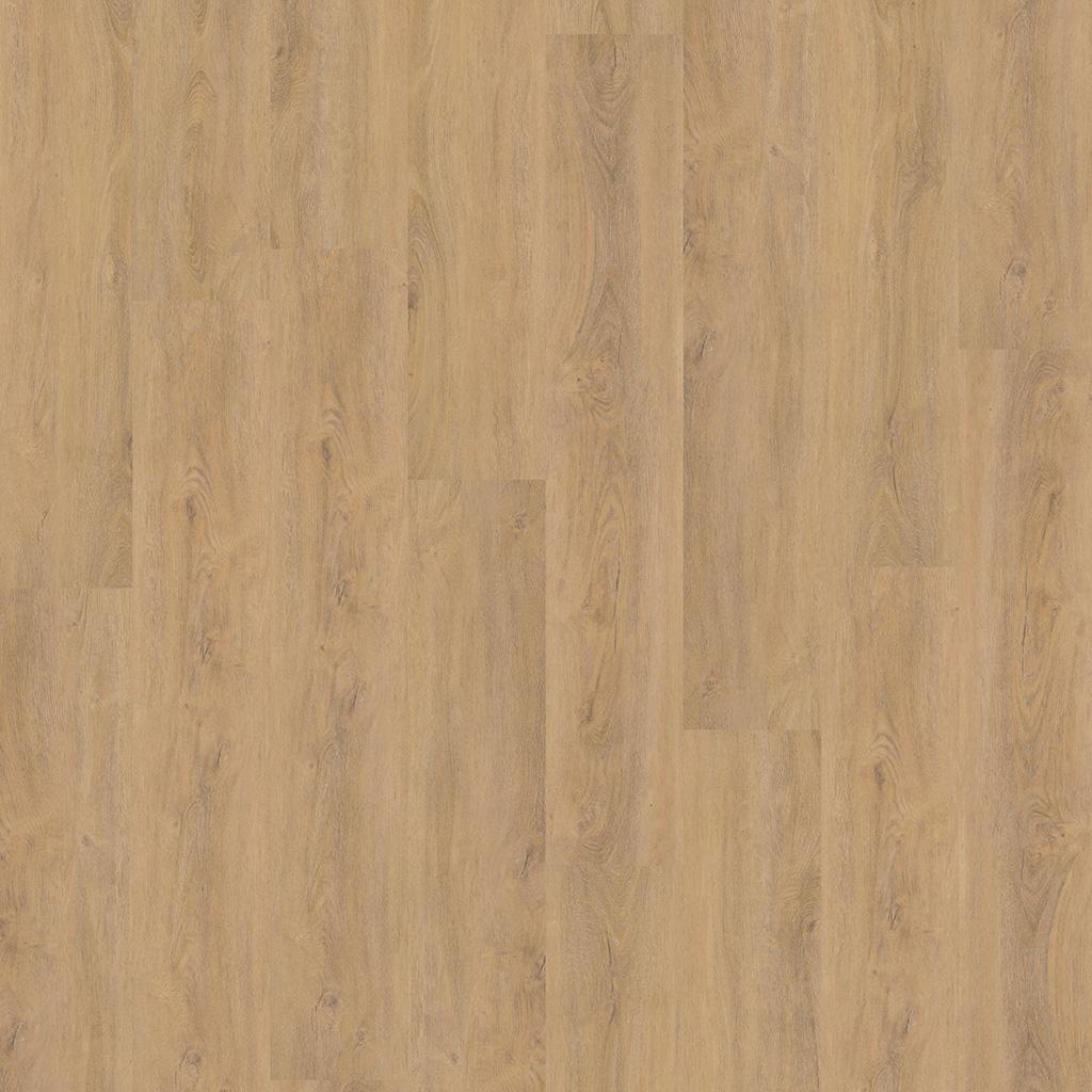 Robusto Natural Oak