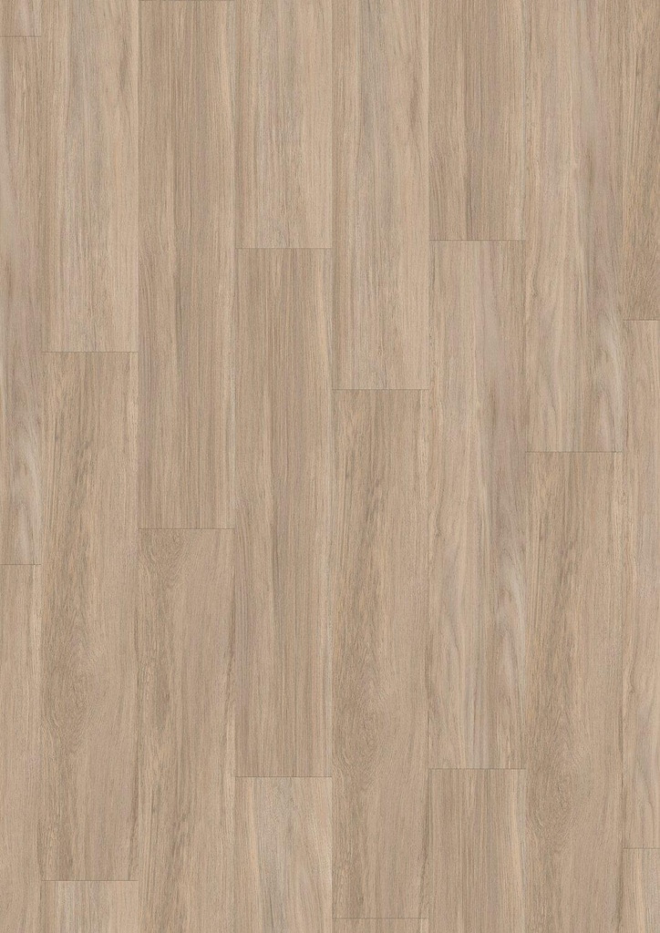 Qaja Beige