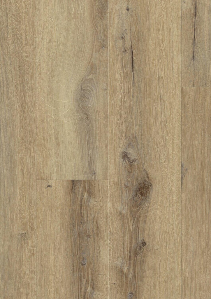 Daintree Brown
