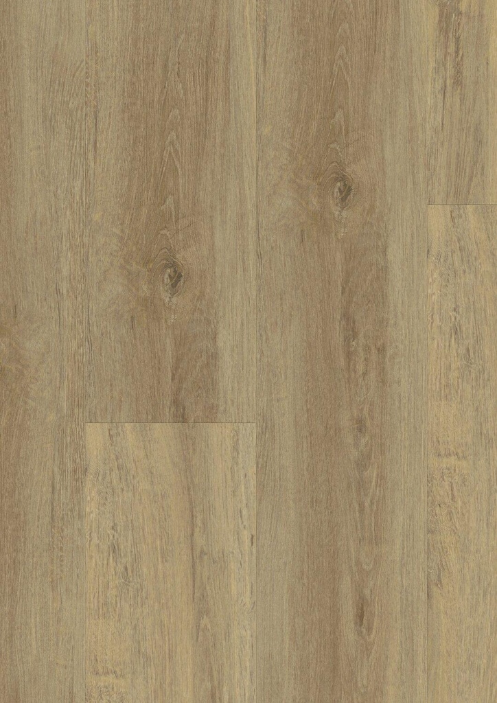 Baita Medium