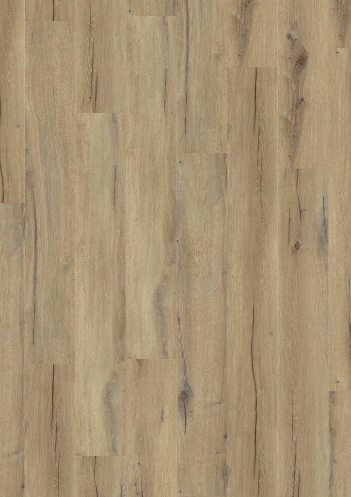 Daintree Brown