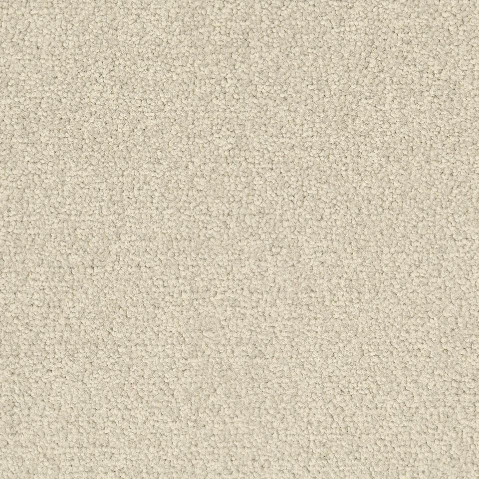 LRV Palatino Ecobase B359 2928
