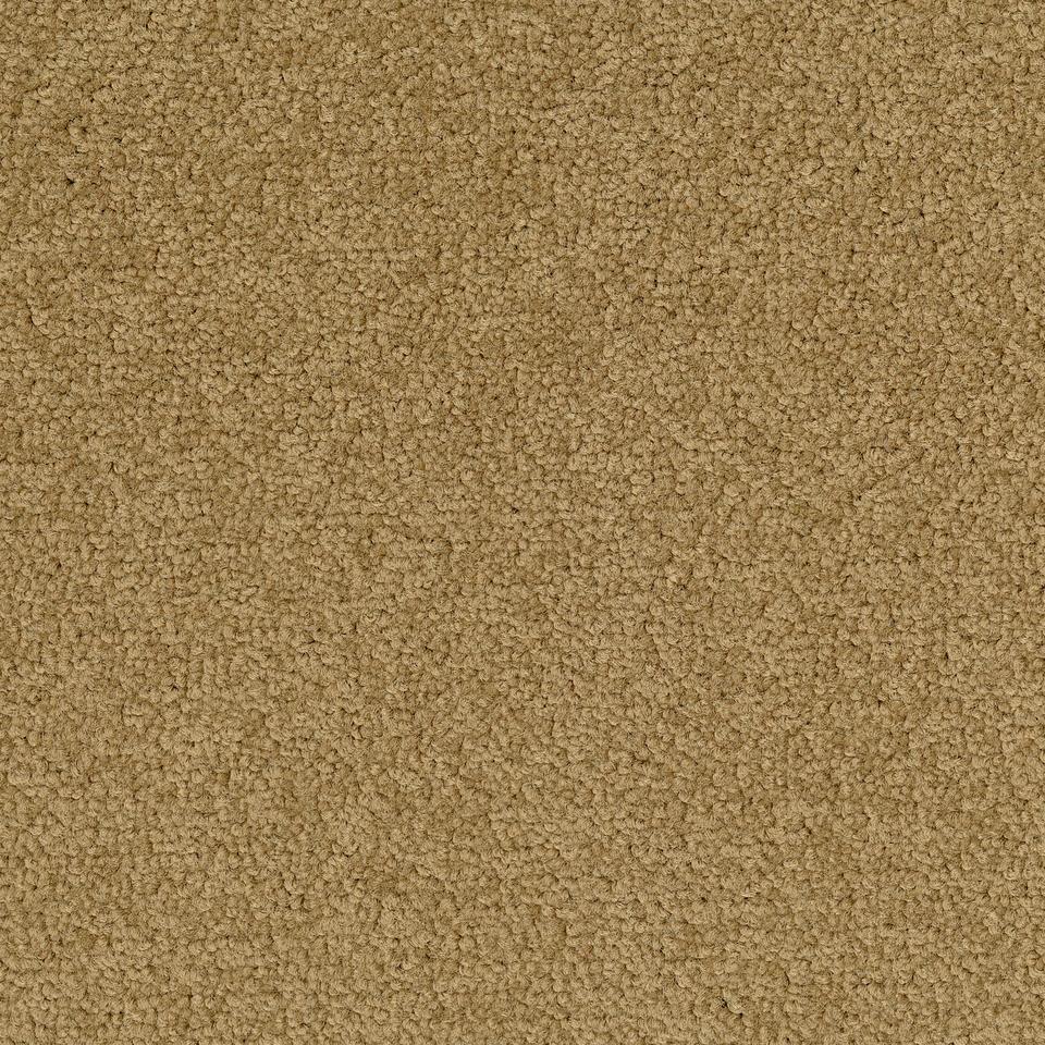 Palatino A072 2036