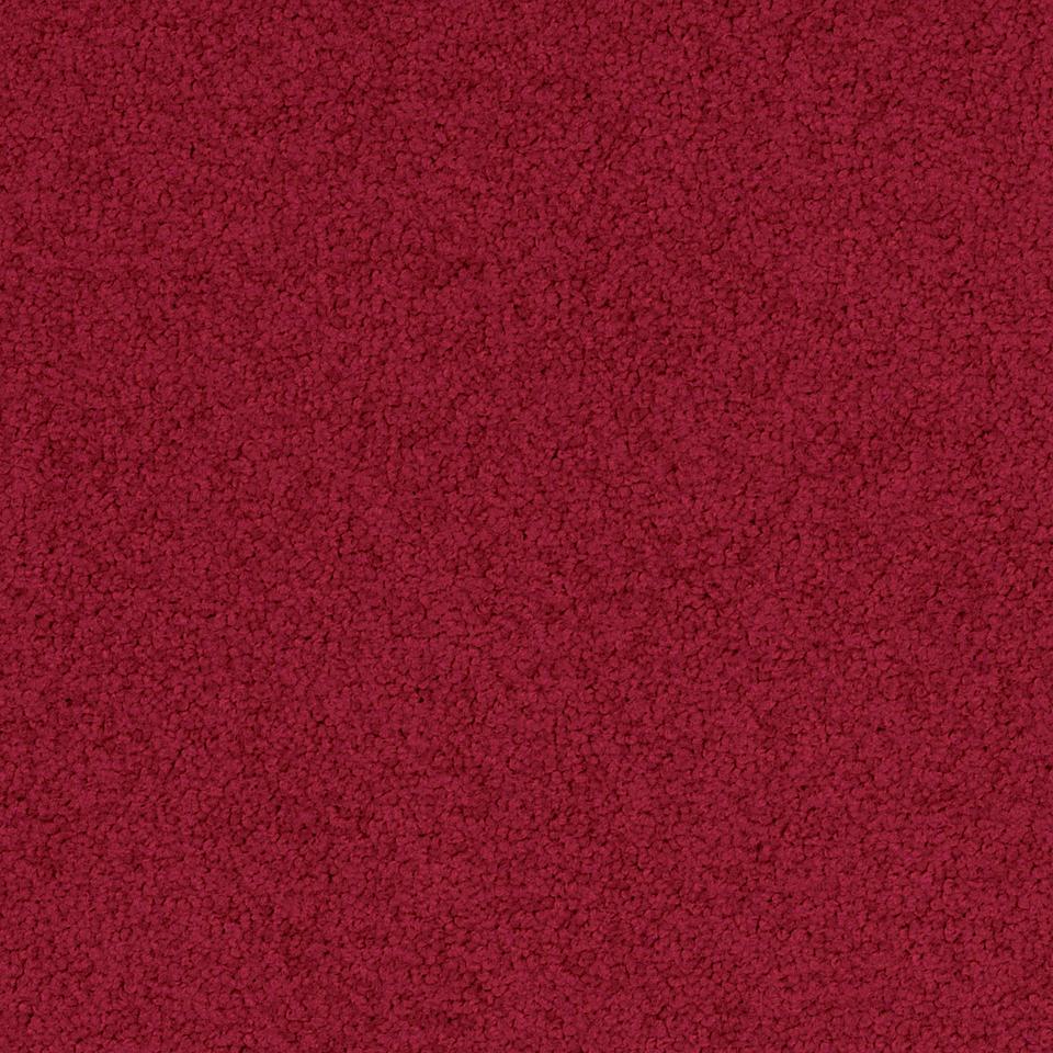 Palatino A072 4218
