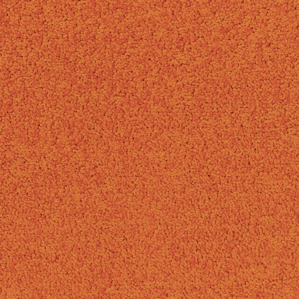 Palatino A072 5206