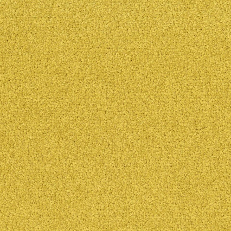Palatino A072 6208