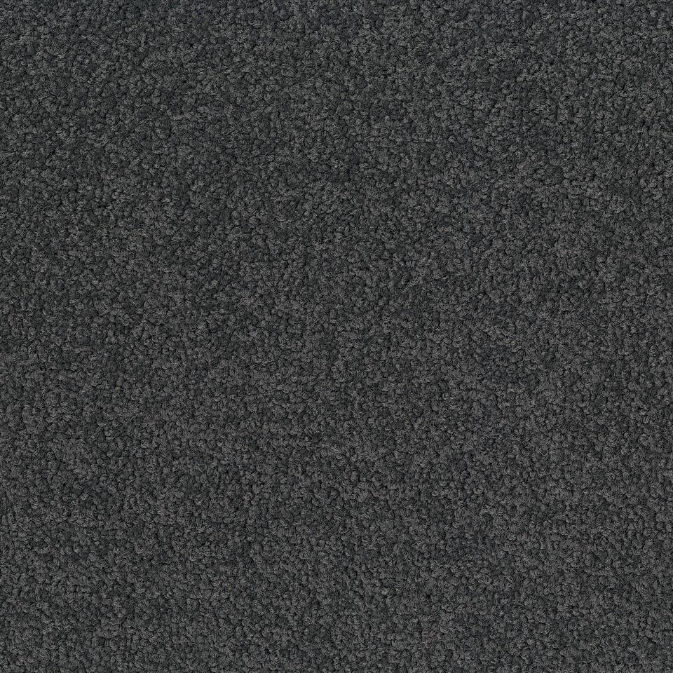 Palatino A072 8500