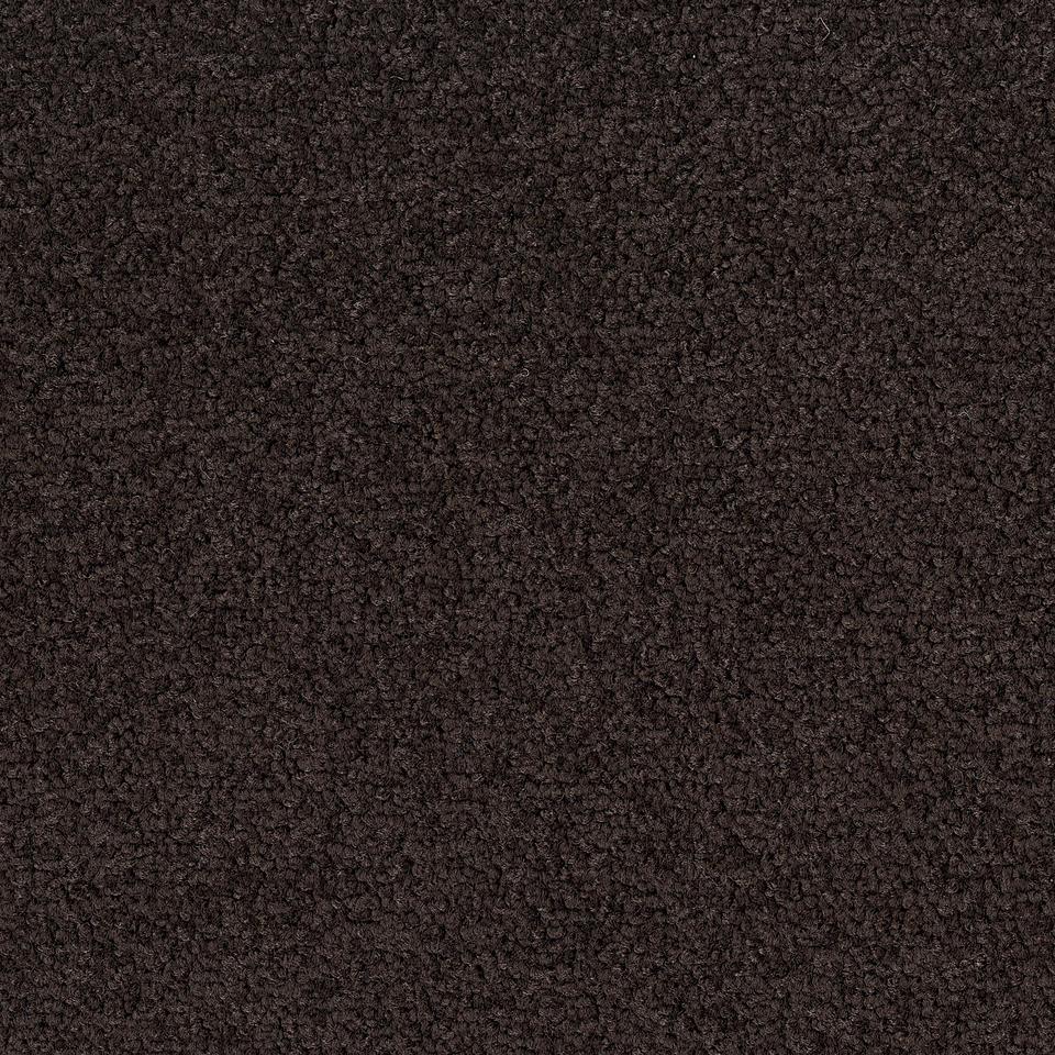 Palatino A072 8505