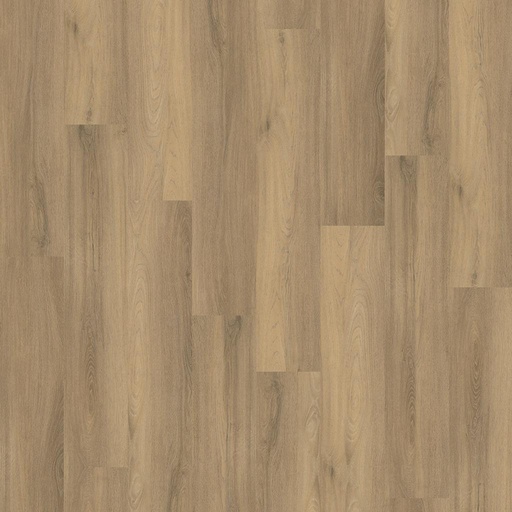 [6152.5503.1.9] Avanto Natural