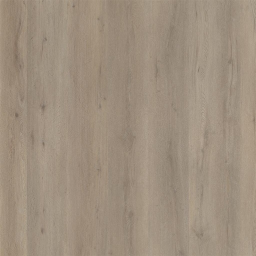 [6197.2820.1.9] Vivero Light Oak