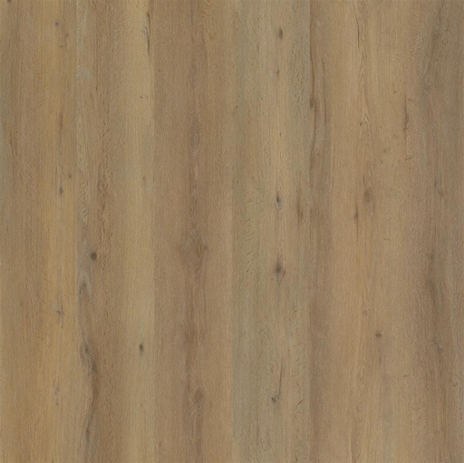 [6197.2821.1.9] Vivero Smoky