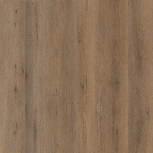 [6197.2823.1.9] Vivero Dark Oak