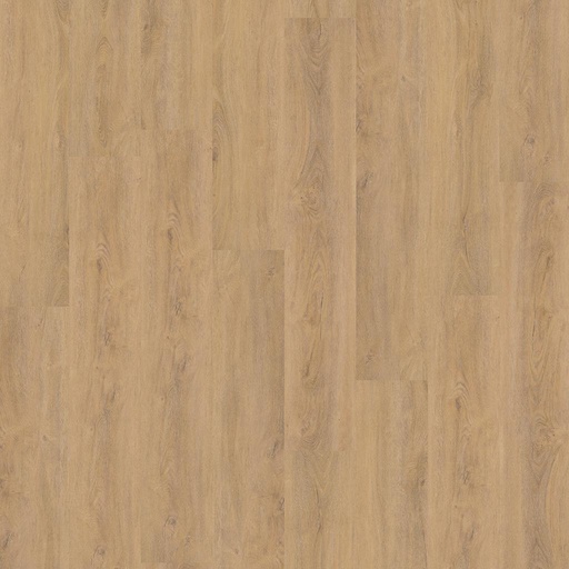 [6155.2555.1.9] Robusto Natural Oak