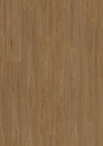 [39061461] Blomma Brown