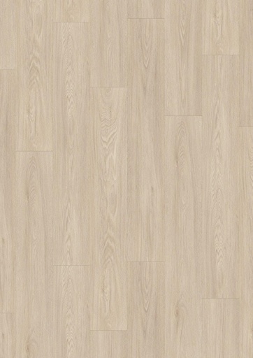 [38981464] Blomma Light