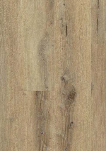 [36131010] Daintree Brown