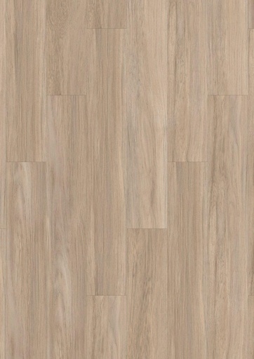 [39261473] Qaja Beige