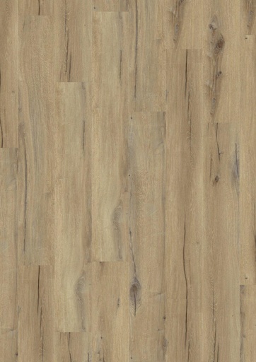 [39191010] Daintree Brown