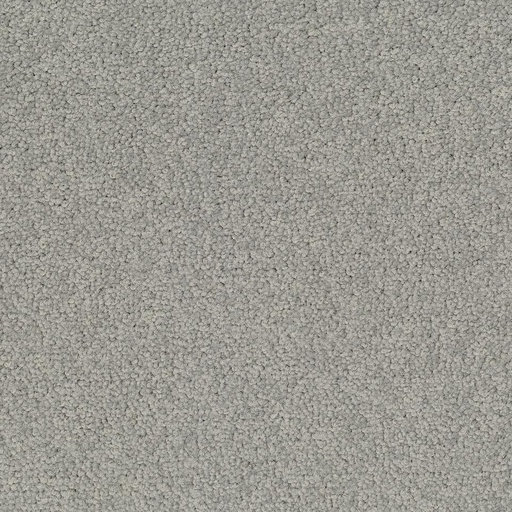 [710018046] Palatino A072 1318