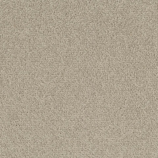 [710018047] Palatino A072 1510