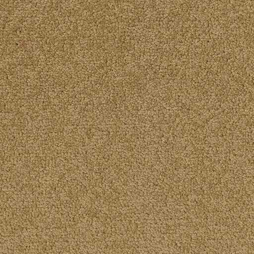 [710018048] Palatino A072 2036