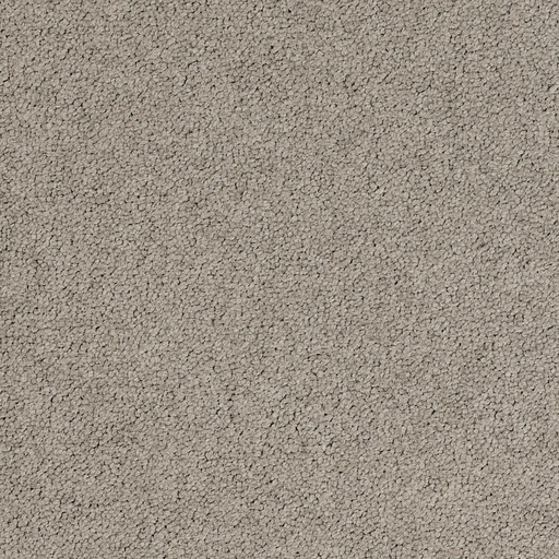 [710018004] Palatino A072 2923
