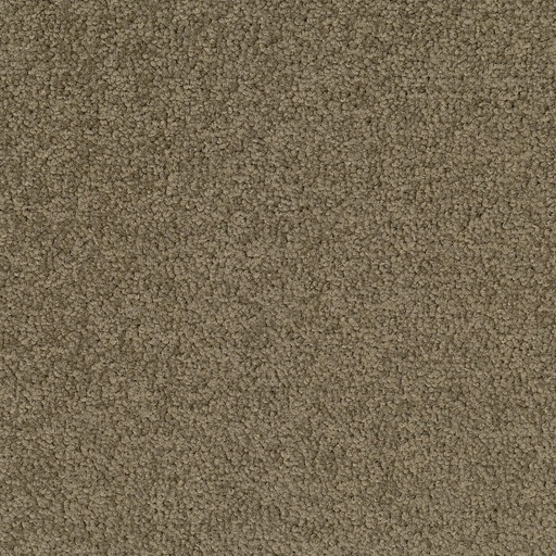 [710018055] Palatino A072 2929