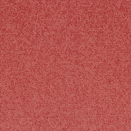[710018058] Palatino A072 4212
