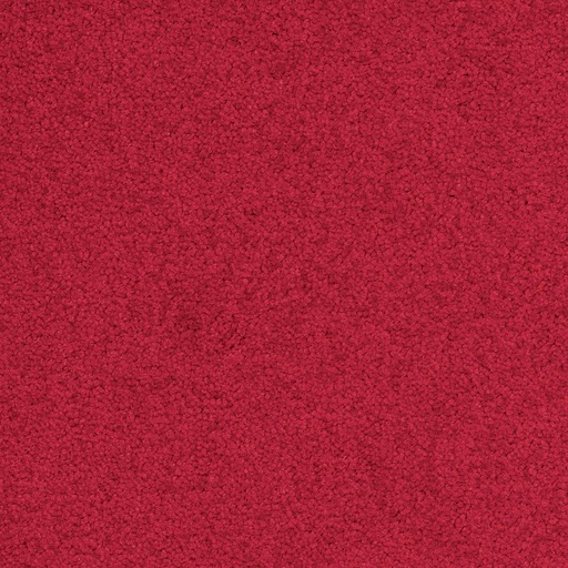 [710018027] Palatino A072 4301