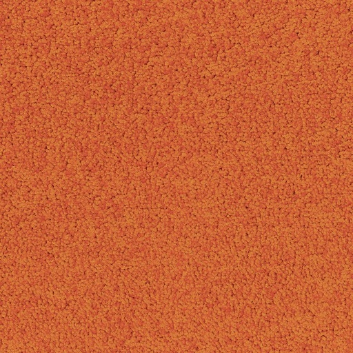 [710018060] Palatino A072 5206