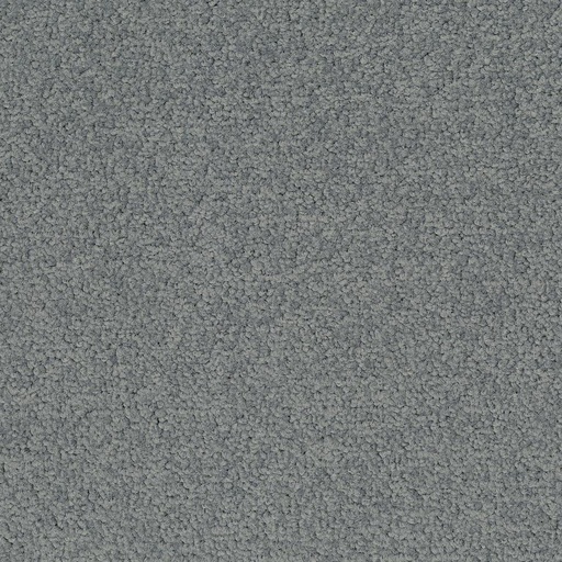 [710018061] Palatino A072 5502
