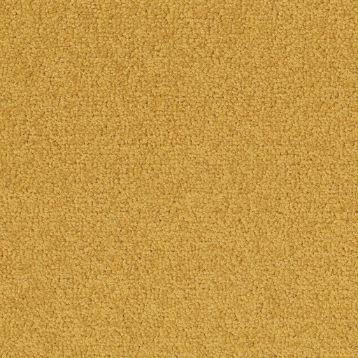 [710018076] Palatino A072 6016