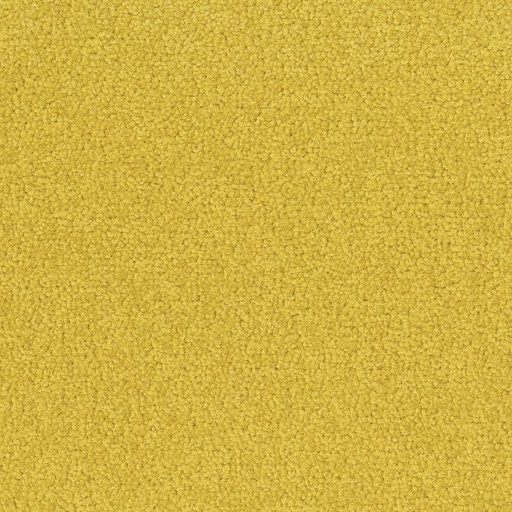 [710018062] Palatino A072 6502