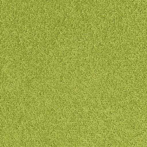 [710018053] Palatino A072 7018