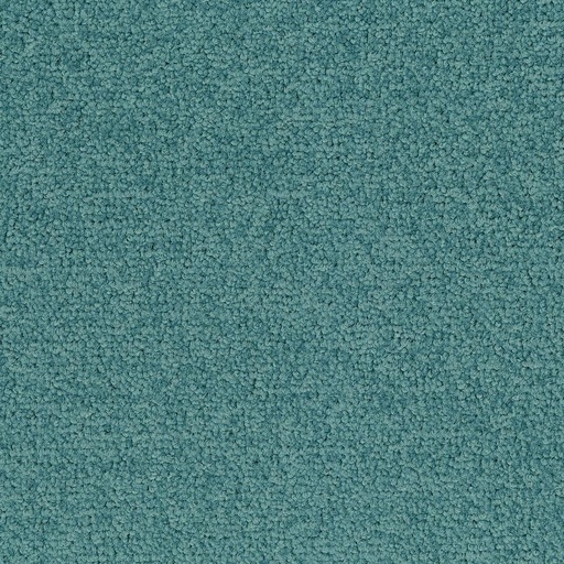 [710018064] Palatino A072 8073