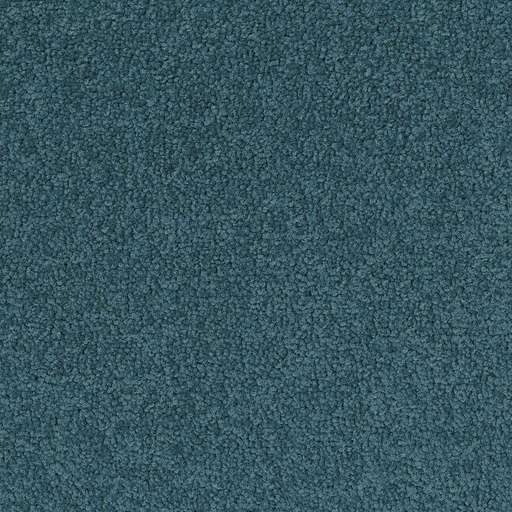 [710018065] Palatino A072 8111