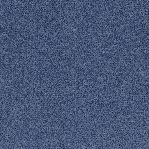 [710018069] Palatino A072 8803