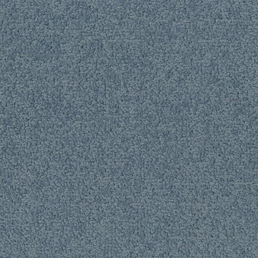 [710018071] Palatino A072 8823
