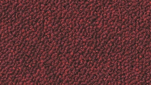 [711446007] Essence AA90 4218